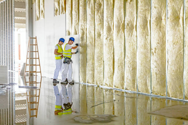 Best Attic Insulation Installation  in Woodlake, CA